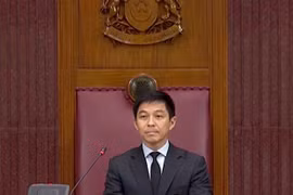 越新双边合作的新动力