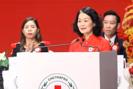 越南红十字会第十一次全国代表大会：为处境困难人群提供全面援助