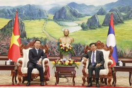 越老建交60周年：老挝党和国家高级领导人会见越南党和国家高级代表团