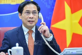 越南外交部长裴青山与奥地利欧洲和国际事务部长沙伦贝格通电话