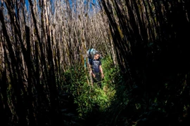 享有盛誉的全球摄影奖——世界新闻摄影大赛首次出现越南评委