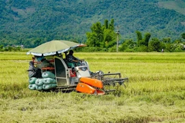 越美农企对接座谈会在华盛顿举行