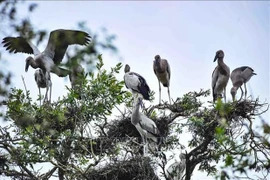 越南生物多样性位居世界16位
