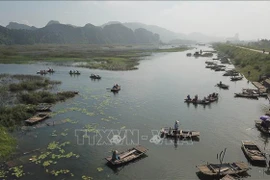 5·22生物多样性日： 携手修复生态系统