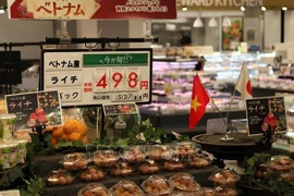 越南对日本出口的农水产品和食品的空间巨大