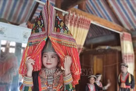 安沛省红瑶族同胞致力于保护传统服装文化 