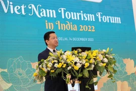 越南与印度不断促进旅游合作