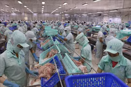 越南与澳大利亚双边贸易增长令人鼓舞