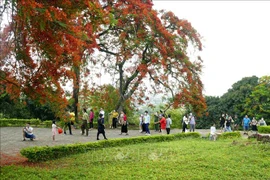 奠边历史遗迹吸引大量游客前来参观游览