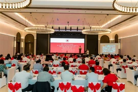 尽早将越南红十字协会第十一次全国代表大会的决议落到实处