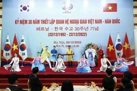 越南国家副主席武氏映春出席越韩建交30周年纪念活动