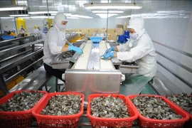 今年前8月金瓯省出口额猛增