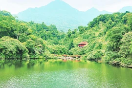 河内市加快旅游业复苏进程