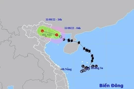 2号台风减弱为热带低压