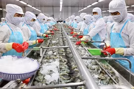 加强水产资源保护修复 促进越南渔业可持续发展