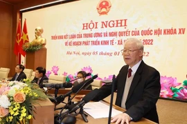 越共中央总书记阮富仲出席政府与各地方视频会议并发表重要讲话