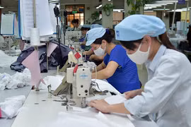 经济恢复势头日益明晰