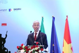 进一步加强胡志明市与意大利的友好合作关系