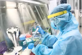 7月31日越南新增新冠肺炎康复病例7877例 连续7天无新增死亡病例