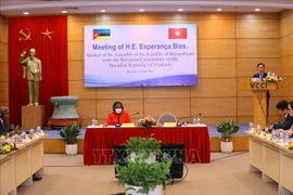 莫桑比克将成为越南企业进入南部非洲国家的门户