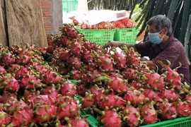 加大果树生产区对接力度