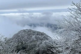 2022年2月冷空气加剧，北部和中部地区出现多天寒冷及低温灾害