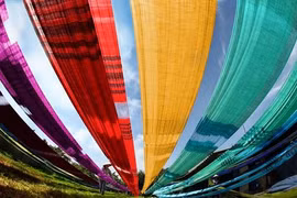 为传统丝绸恢复领先地位