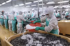 阿尔及利亚君士坦丁省希望学习借鉴越南的发展经验