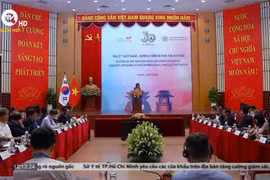 越南与韩国迈向全面战略伙伴关系