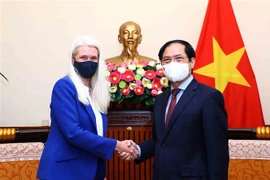 越南外交部长裴青山会见英国外交部大臣阿曼达•米林