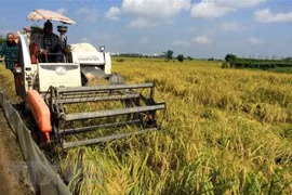 越南在联合国分享减贫工作和克服危机的经验