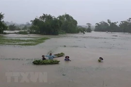 越南北部山区大范围降雨天气将会持续较长时间