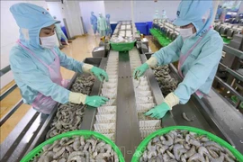 2022年越南虾行业迎来新机遇