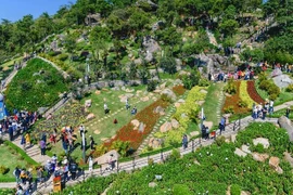 虎年春节期间越南全国各地到访游客超550万人次