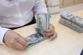 9月20日上午汇率中间价上调6越盾