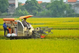 认真贯彻落实越共中央书记处关于可持续减贫的指示