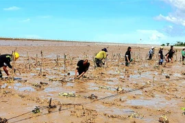 由奥地利资助以提高朔庄省气候变化适应能力的项目正式启动