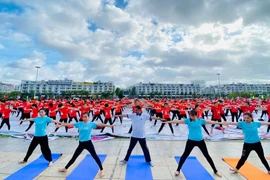 约3000人参加在广宁省举行的第八届国际瑜伽日活动