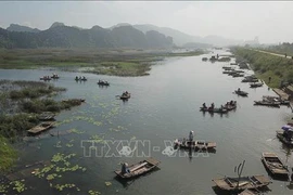 越南承诺保护与可持续利用湿地