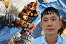 岘港市：一男子因涉嫌走私珍稀野生动物被抓