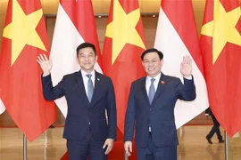 越南国会主席王廷惠与新加坡国会议长陈川仁举行会谈