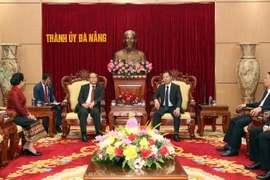 越老关系60周年：进一步深化岘港市与老挝各地之间的关系