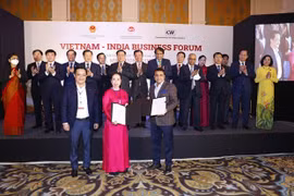 激发越南与印度的贸易与投资合作潜力