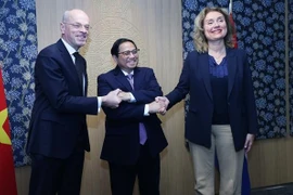 越南政府总理范明政会见荷兰议会一院和二院议长