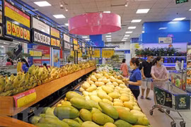 “自豪越南货—越南货精华”的越南商品周正式启动