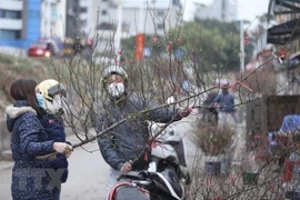 冷空气持续发力 越南北部及中部以北地区出现寒冷及严寒天气