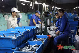 越南国家工业政策重点关注的各大内容