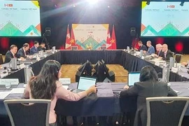 越加经济混合委员会第一次会议在加举行