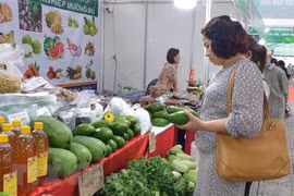 越南寻找加大果蔬销量方案
