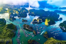 专题报道：蓝色海洋经济的巨大发展潜力（第一篇）